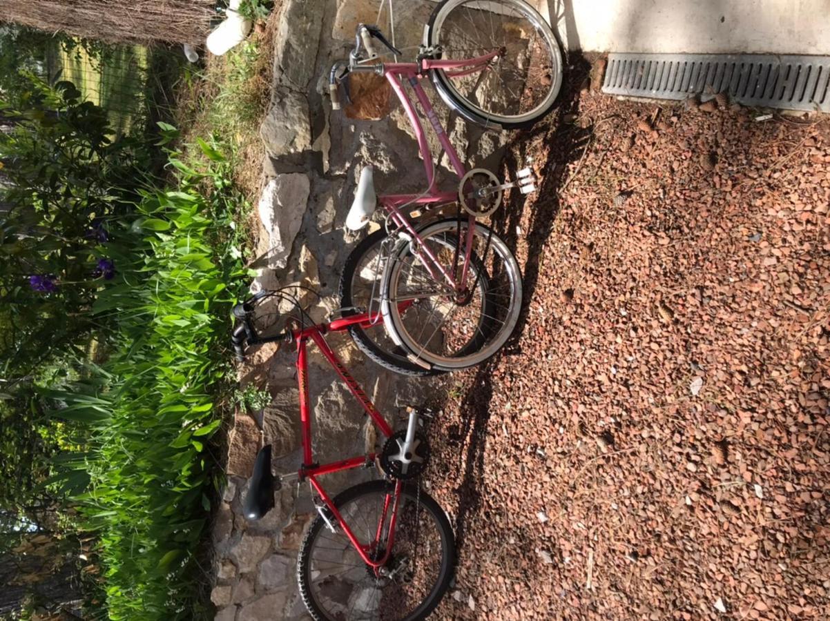 Maison Sapinettes Quend Eksteriør billede